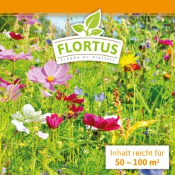 Blumenwiese (1/2 L Doypack) | Blumenwiese Von FLORTUS -Elho || Compo Verkäufe 551641 Blumenwiese 1 2 Liter Doypack 2000 0186 3