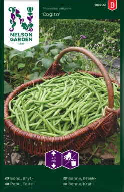 Grüne Bohne Cogito | Bohnensamen Von Nelson Garden