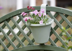 Hängeblumentopf Salbei | Blumentöpfe Von Clever Pots -Elho || Compo Verkäufe 553528 Haengeblumentopf Salbei 1 Stueck 519761 kp 5