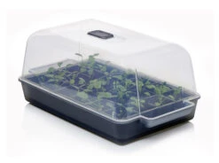 Anzucht-Gewächshaus Easy Water | Zimmergewächshaus Von Clever Pots -Elho || Compo Verkäufe 553911 Gewaechshaus Easy Water 050 0017 0