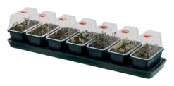 76 X 18,5 X 15 Cm Selbstbewässerungs-Anzuchtset Super 7 | Zimmergewächshaus Von Garland 5 76 X 18,5 X 15 Cm Selbstbewässerungs-Anzuchtset Super 7 | Zimmergewächshaus Von Garland -Elho || Compo Verkäufe 558779 76 x 18 5 x 15 cm Selbstbewaesserungs Anzuchtset Super 7 G136 gl 0
