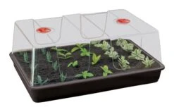 58 X 40,5 X 22,5 Cm Zimmergewächshaus High Dome XL Schwarz Mit Verstellbarer Luftzirkulation | Anzuchtzubehör Von Garland -Elho || Compo Verkäufe 558793 58 x 40 5 x 22 5 cm Zimmergewaechshaus High Dome XL schwarz mit verstellbarer Luftzirkulation G155B gl 0