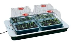 59 X 41 X 20 Cm Elektrisches Zimmergewächshaus 4 Top (4 Stück) | Zimmergewächshaus Von Garland -Elho || Compo Verkäufe 558796 59 x 41 x 20 cm Elektrisches Zimmergewaechshaus 4 Top 4 Stueck mit EU Stecker G163EU gl 0