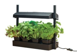 Micro Grow Light Garten | Zimmergewächshaus Von Garland -Elho || Compo Verkäufe 558806 50 x 20 x 45 cm Micro Grow Light Garten Schwarz G187BEU gl 0