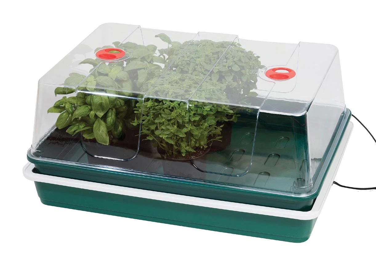 Elektrisches Zimmergewächshaus Mit Temperaturregelung | Zimmergewächshaus Von Garland 1 Elektrisches Zimmergewächshaus Mit Temperaturregelung | Zimmergewächshaus Von Garland