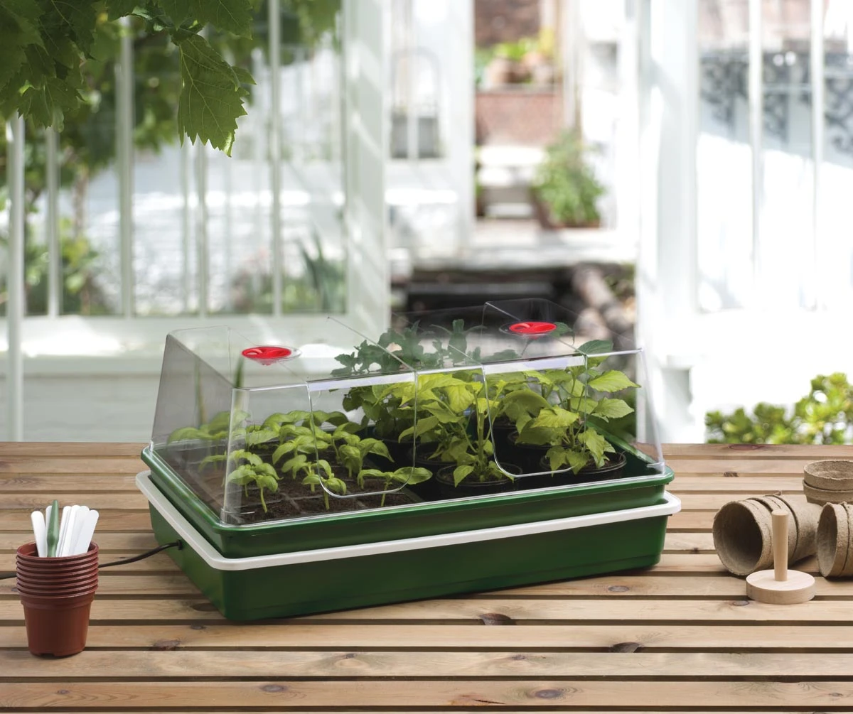 Elektrisches Zimmergewächshaus Mit Temperaturregelung | Zimmergewächshaus Von Garland 2 Elektrisches Zimmergewächshaus Mit Temperaturregelung | Zimmergewächshaus Von Garland – Bild 2