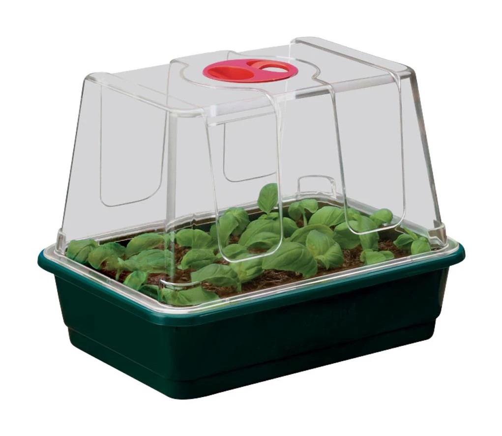 Zimmergewächshaus Mit Verstellbarer Luftzirkulation | Anzuchtzubehör Von Garland 2 Zimmergewächshaus Mit Verstellbarer Luftzirkulation | Anzuchtzubehör Von Garland – Bild 2