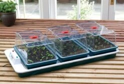 80,5 X 41 X 20 Cm Elektrisches Zimmergewächshaus Big 3 (3 Stück) | Zimmergewächshaus Von Garland -Elho || Compo Verkäufe 558839 80 5 x 41 x 20 cm Elektrisches Zimmergewaechshaus Big 3 3 Stueck mit EU Stecker G78EU gl 2