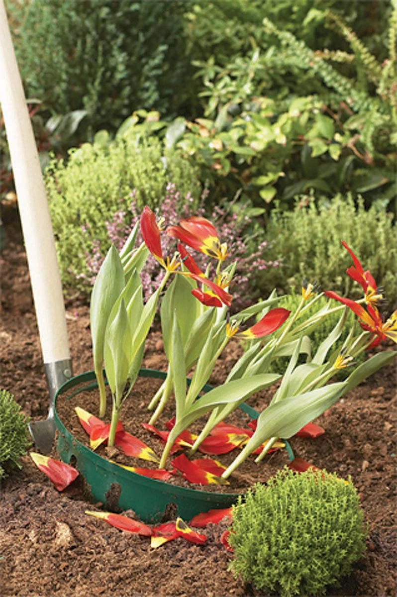 Blumenzwiebel Korb | Gartenzubehör Von Garland 1 Blumenzwiebel Korb | Gartenzubehör Von Garland