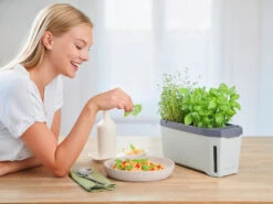 HARRY HERBS Kräutertopf Hellgrau | Kräutertöpfe Von Gusta Garden -Elho || Compo Verkäufe 560334 HARRY HERBS hellgrau 100B10 gg 7