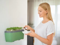 HARRY HERBS Kräutertopf Dunkelgrün | Kräutertöpfe Von Gusta Garden -Elho || Compo Verkäufe 560338 HARRY HERBS dunkelgruen 103B10 gg 4