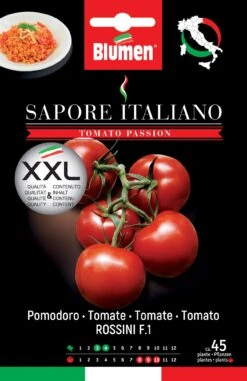 Tomate Sapore Italiano Rossini F1 | Tomatensamen Von BLUMEN Group