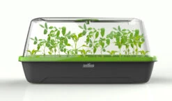 BoQube M & FLORTUS Kokos Quelltöpfe (24 Stück) | Anzuchtzubehör Set Von FLORTUS 15 BoQube M & FLORTUS Kokos Quelltöpfe (24 Stück) | Anzuchtzubehör Set Von FLORTUS -Elho || Compo Verkäufe 562697 BoQube M und FLORTUS Kokos Quelltoepfe 24 Stueck 2000 2385 anthrazit 2