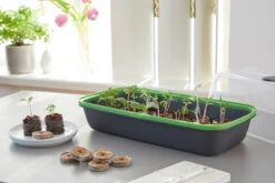 BoQube M & FLORTUS Kokos Quelltöpfe (24 Stück) | Anzuchtzubehör Set Von FLORTUS 13 BoQube M & FLORTUS Kokos Quelltöpfe (24 Stück) | Anzuchtzubehör Set Von FLORTUS -Elho || Compo Verkäufe 562697 BoQube M und FLORTUS Kokos Quelltoepfe 24 Stueck 2000 2385 anthrazit 3