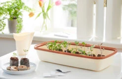 BoQube M & FLORTUS Kokos Quelltöpfe (24 Stück) | Anzuchtzubehör Set Von FLORTUS 18 BoQube M & FLORTUS Kokos Quelltöpfe (24 Stück) | Anzuchtzubehör Set Von FLORTUS -Elho || Compo Verkäufe 562697 BoQube M und FLORTUS Kokos Quelltoepfe 24 Stueck 2000 2385 kupfer 2