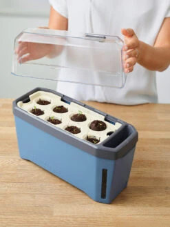 HARRY HERBS &amp; FLORTUS Kräuter Set | Anzuchtsets Von FLORTUS -Elho || Compo Verkäufe 562699 HARRY HERBS und FLORTUS Kraeuter Set 2000 2387 blau 3