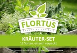HARRY HERBS &amp; FLORTUS Kräuter Set | Anzuchtsets Von FLORTUS -Elho || Compo Verkäufe 562699 HARRY HERBS und FLORTUS Kraeuter Set 2000 2387 blau 8