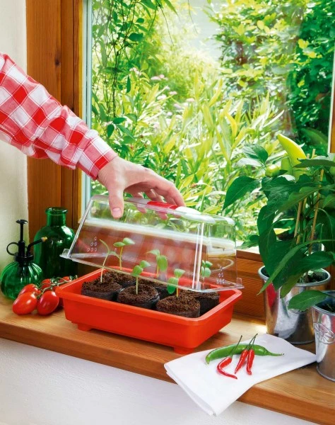 Zimmergewächshaus Veggie | Zimmergewächshaus Von Romberg 3 Zimmergewächshaus Veggie | Zimmergewächshaus Von Romberg – Bild 3