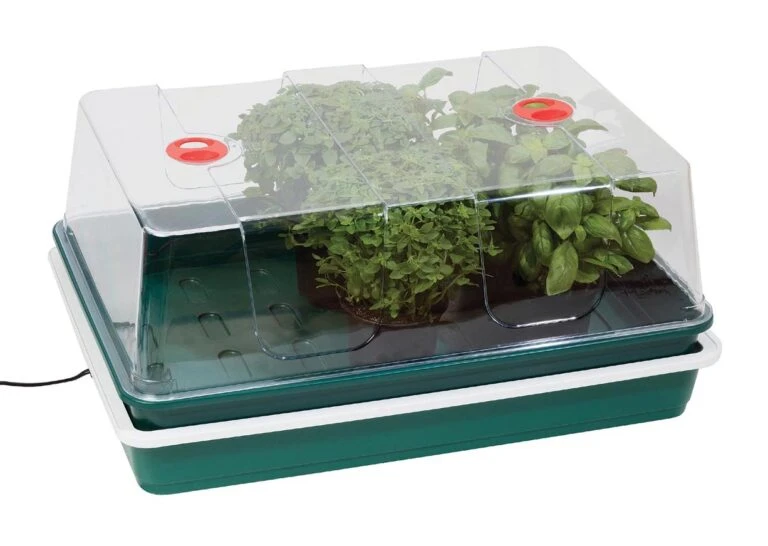 Elho || Compo Verkäufe 35 Elho || Compo Verkäufe -Elho || Compo Verkäufe 558818 59 x 41 x 26 5 cm Elektrisches Zimmergewaechshaus High Dome mit EU Stecker G206EU gl 0 768x546 1