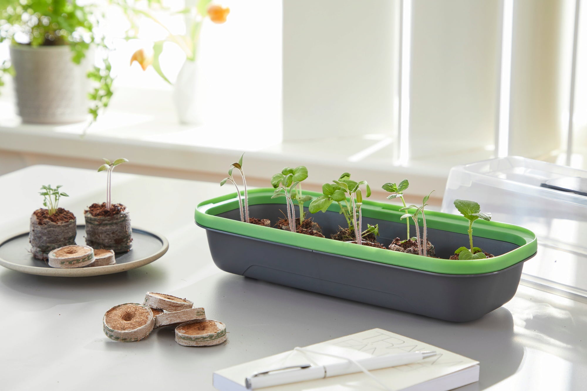 Elho || Compo Verkäufe 13 Elho || Compo Verkäufe -Elho || Compo Verkäufe RO16294163 anzuchtschale m mit deckel und belueftung anthrazit 37 x 19 x 12 cm boqube 3